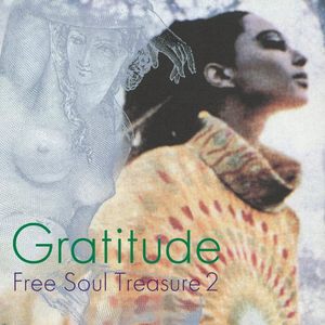 Various Artists: Suburbia Meets Ultra-Vybe âFree Soul Treasure 2" [LP] - VINYL