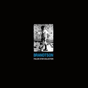 Brandtson: The Fallen Star Collection [LP] - VINYL