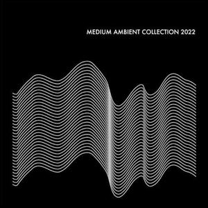 Various Artists: Medium Ambient Collection 2022 [LP] - VINYL