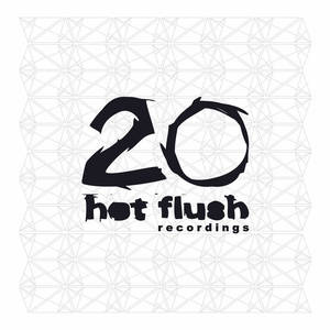 Various Artists: 20: Hotflush Recordings [LP] - VINYL