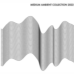 Various Artists: Medium Ambient Collection 2022 [LP] - VINYL