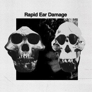 Rapid Ear Damage: R.E.D. [LP] - VINYL