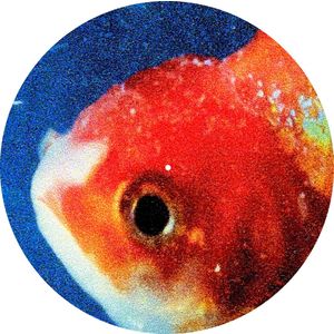 Vince Staples: Big Fish Theory [Picture Disc] [PA]